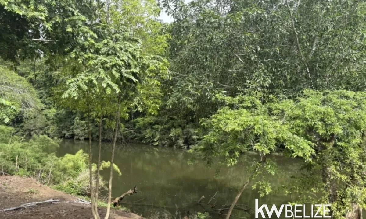 kellerwilliamsbelize-ll082607cr-02