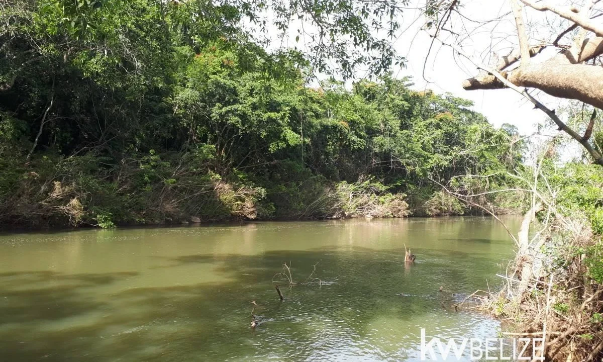 kellerwilliamsbelize-ll082607cr-03