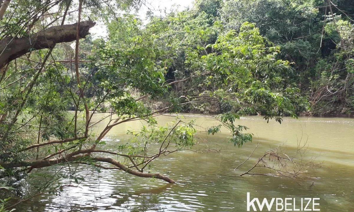 kellerwilliamsbelize-ll082607cr-04