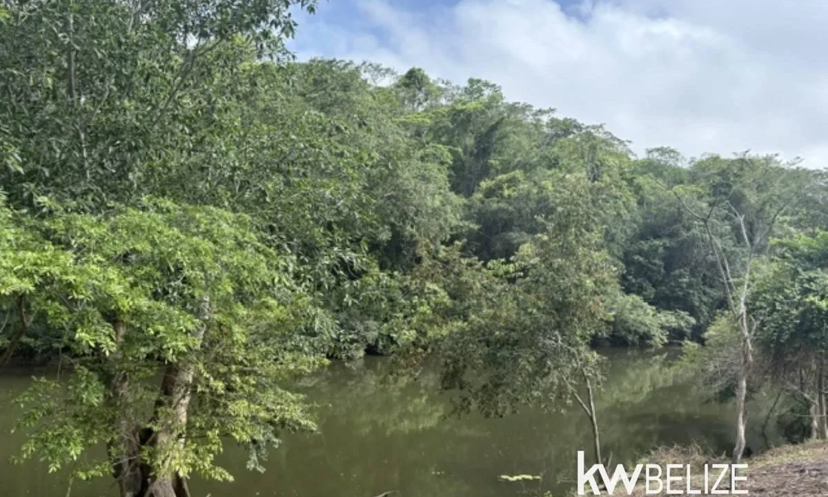 kellerwilliamsbelize-ll082607cr-06