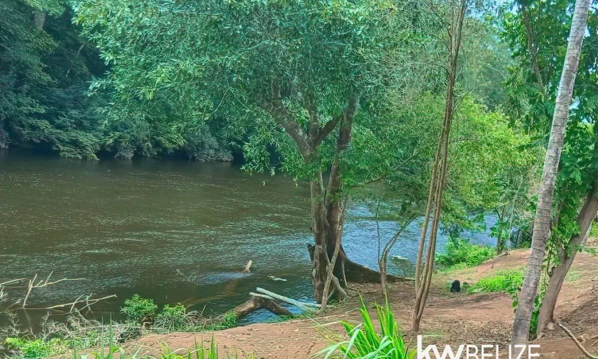 kellerwilliamsbelize-ll082607cr-07