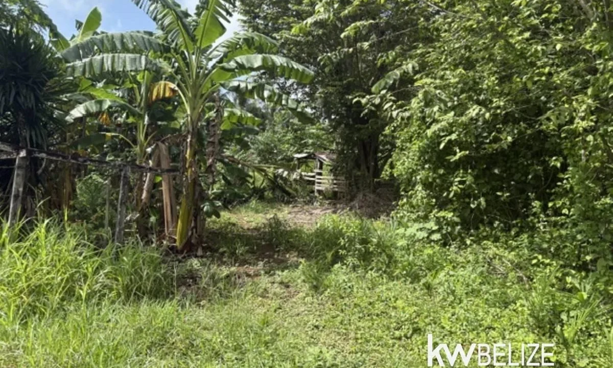 kellerwilliamsbelize-ll082607cr-08