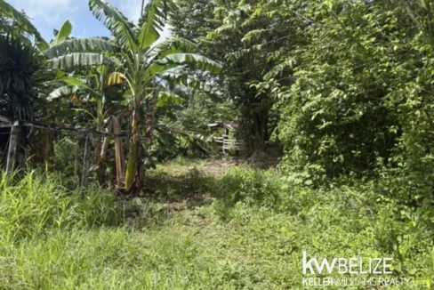 kellerwilliamsbelize-ll082607cr-08