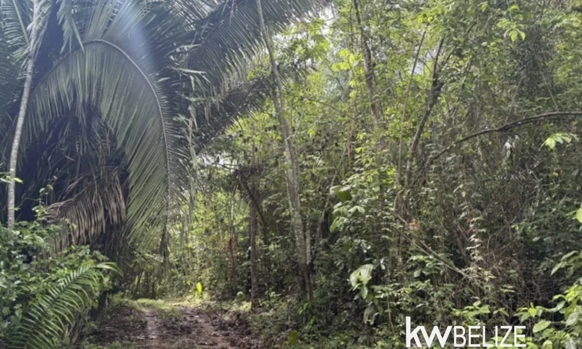 kellerwilliamsbelize-ll082607cr-09