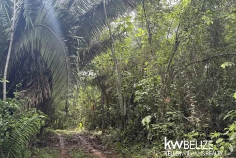 kellerwilliamsbelize-ll082607cr-09