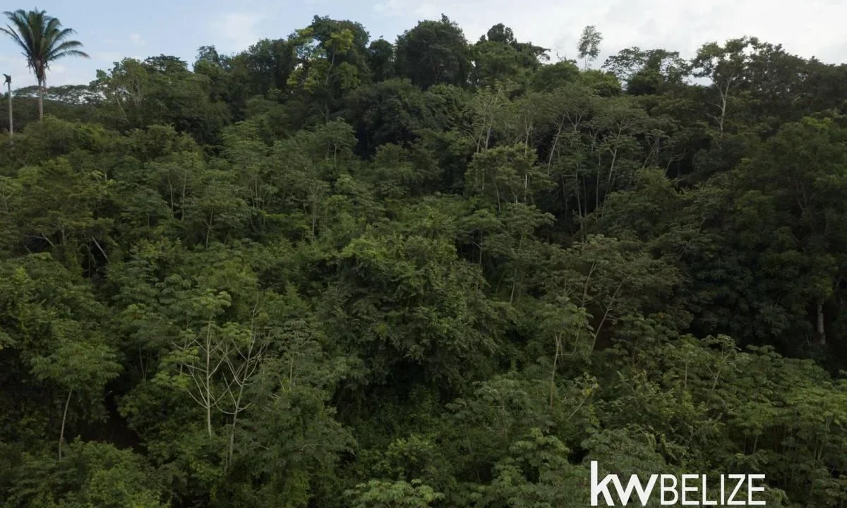 kellerwilliamsbelize-ll082607cr-10