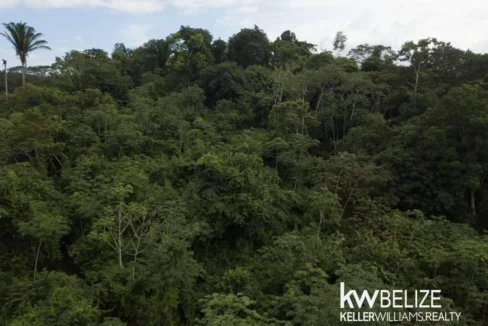 kellerwilliamsbelize-ll082607cr-10