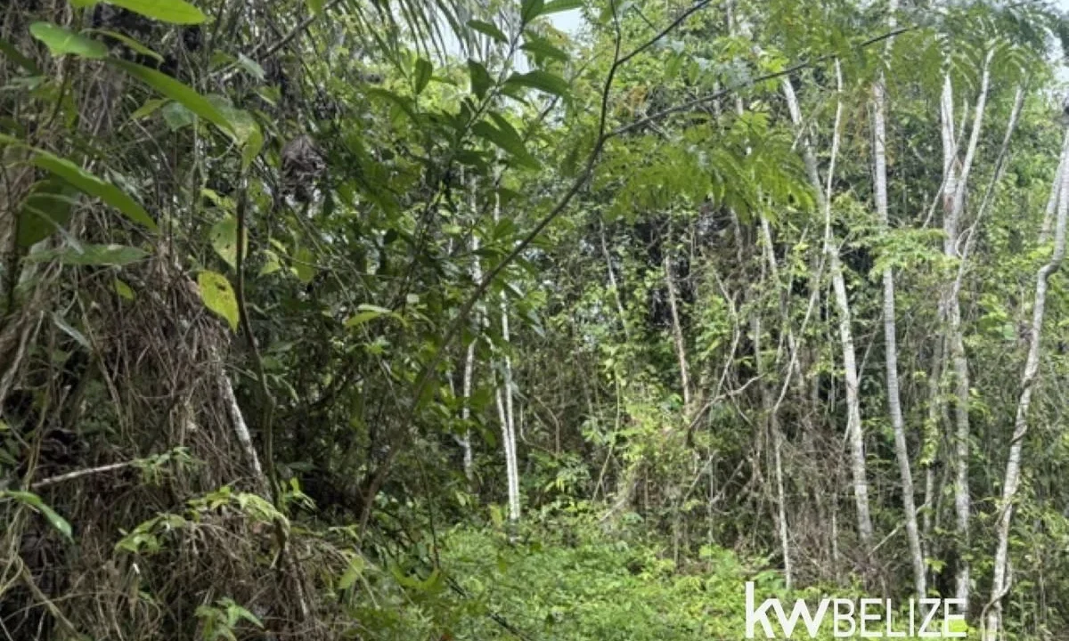kellerwilliamsbelize-ll082607cr-12