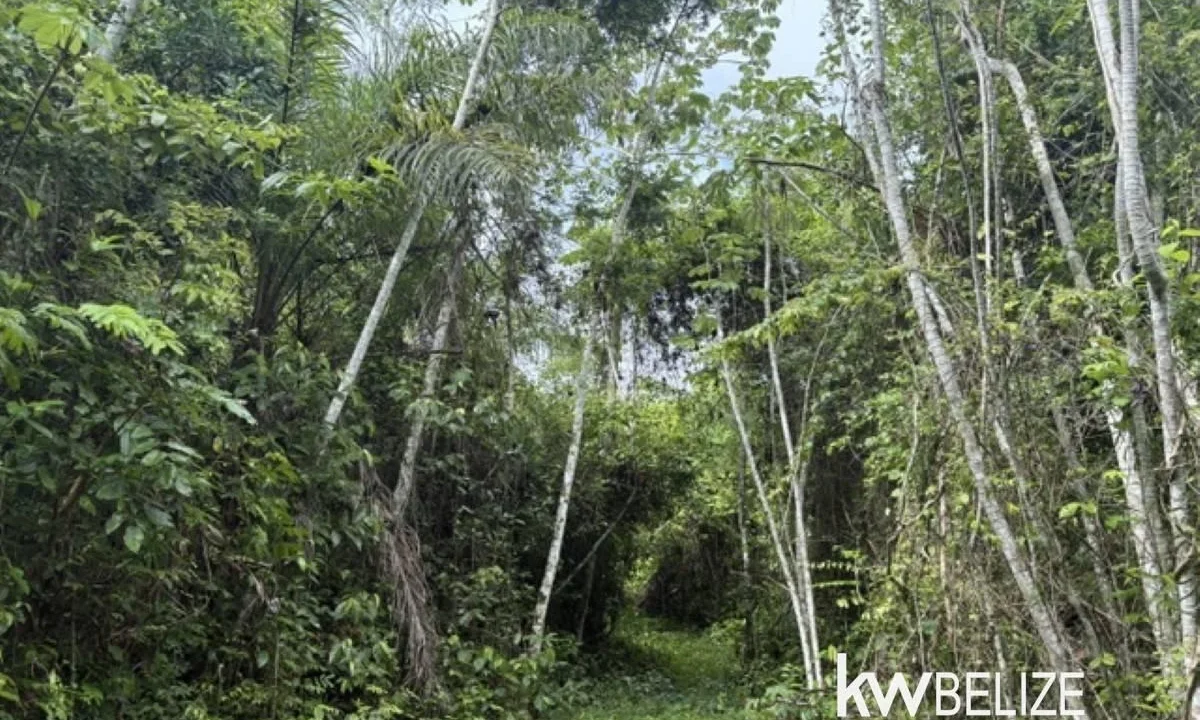 kellerwilliamsbelize-ll082607cr-13