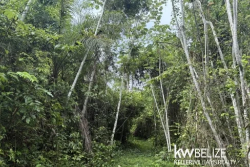 kellerwilliamsbelize-ll082607cr-13