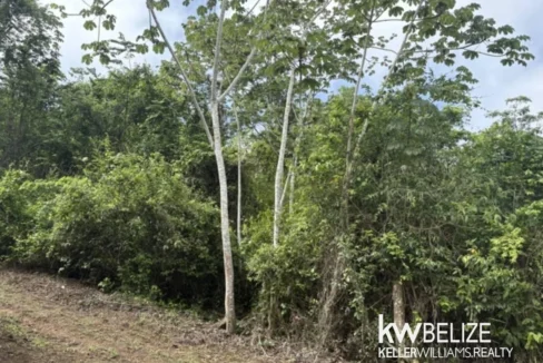 kellerwilliamsbelize-ll082607cr-14