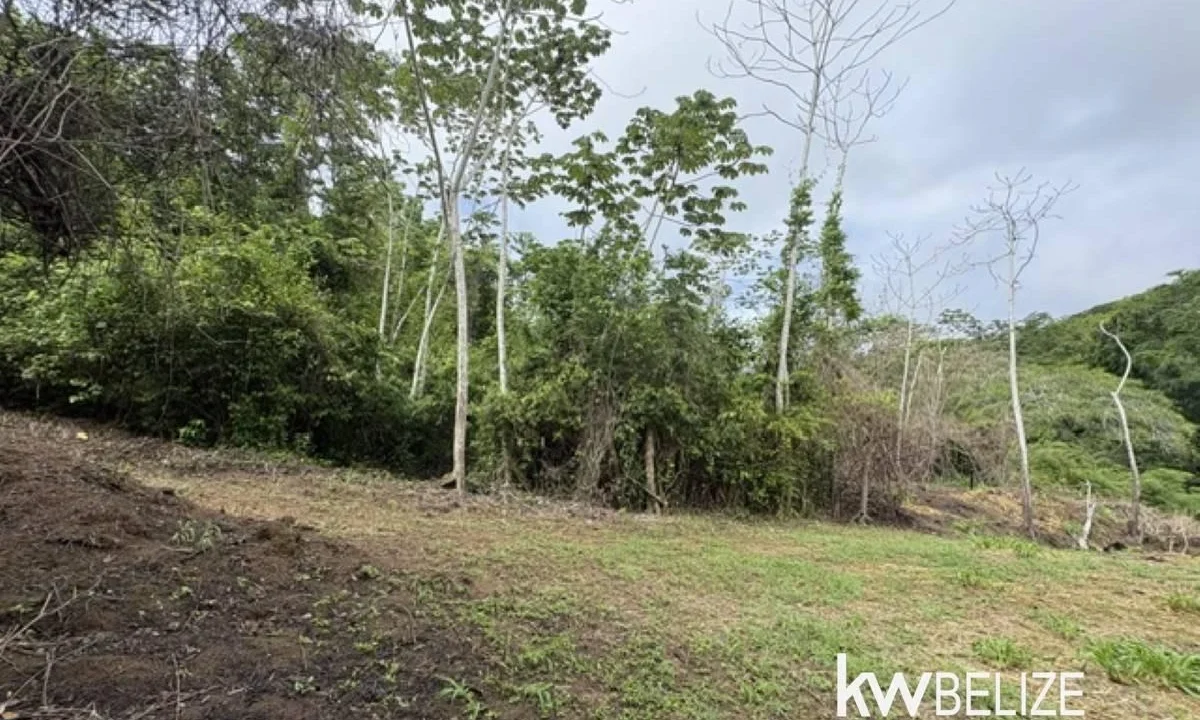 kellerwilliamsbelize-ll082607cr-15