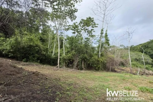 kellerwilliamsbelize-ll082607cr-15