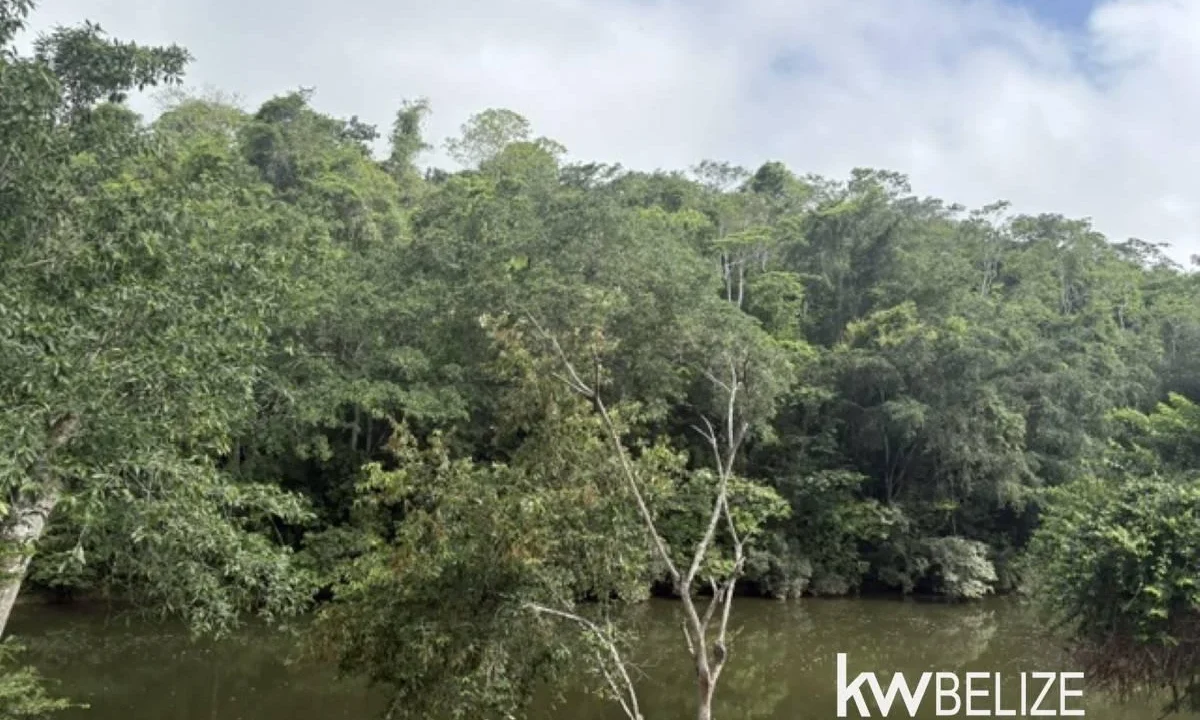 kellerwilliamsbelize-ll082607cr-16