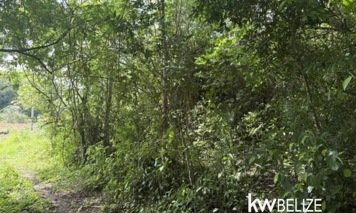 kellerwilliamsbelize-ll082607cr-18