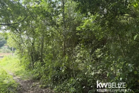 kellerwilliamsbelize-ll082607cr-18