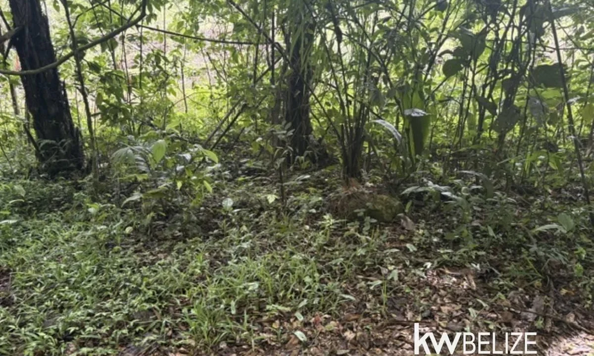 kellerwilliamsbelize-ll082607cr-19