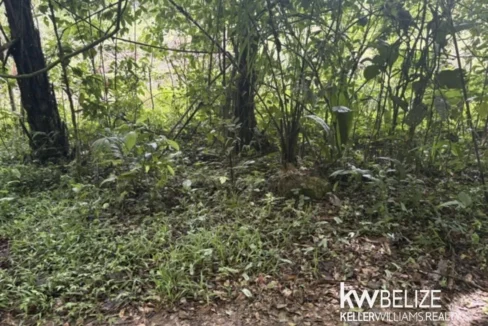 kellerwilliamsbelize-ll082607cr-19