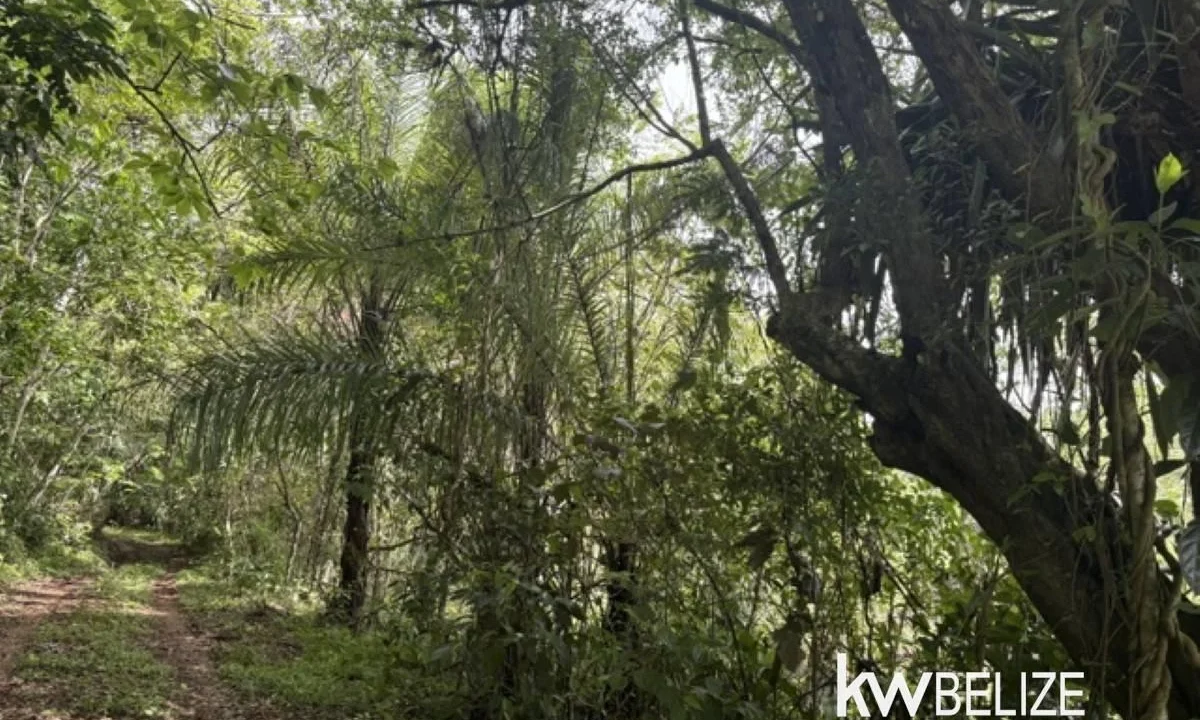 kellerwilliamsbelize-ll082607cr-21
