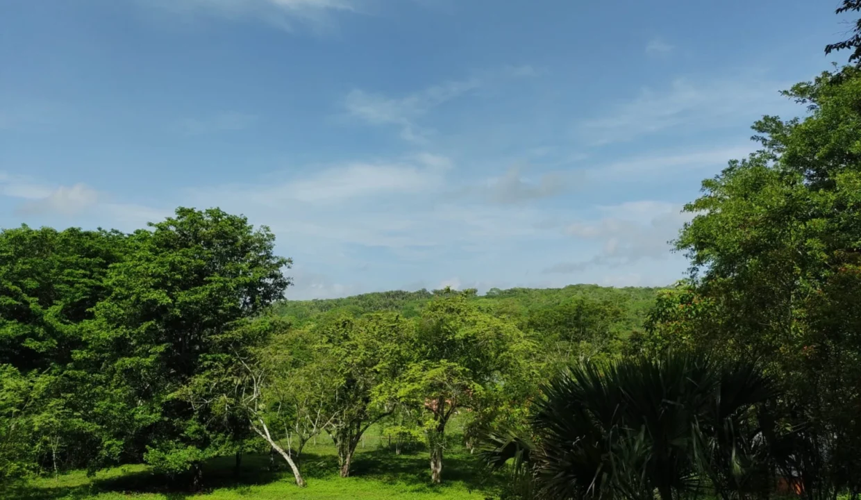 kellerwilliamsbelize-ll132402bt-05