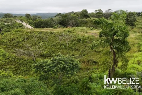 kellerwilliamsbelize-ll132508si-06