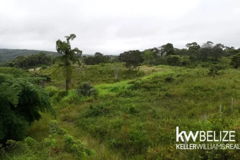 kellerwilliamsbelize-ll132508si-07