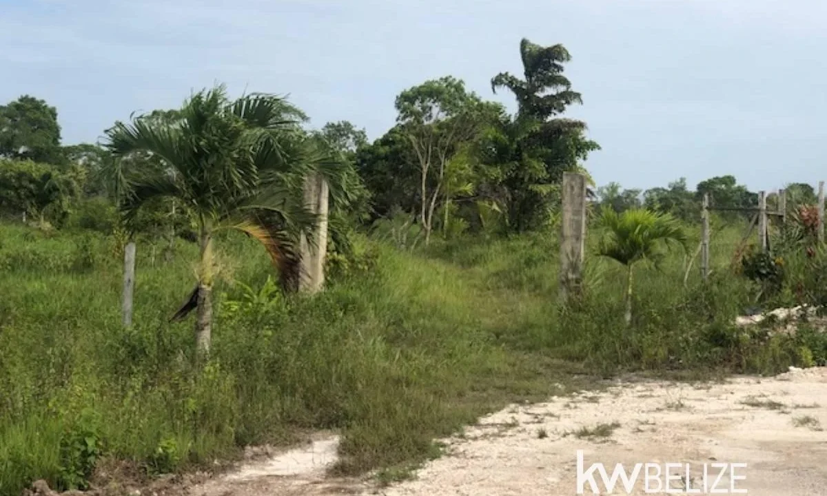 kellerwilliamsbelize-ll132508si-08
