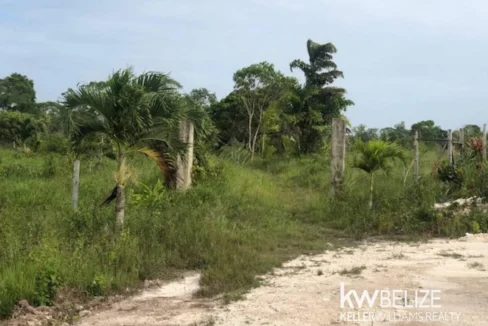 kellerwilliamsbelize-ll132508si-08