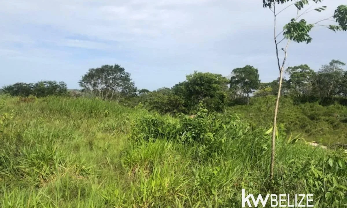 kellerwilliamsbelize-ll132508si-09