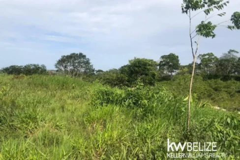 kellerwilliamsbelize-ll132508si-09