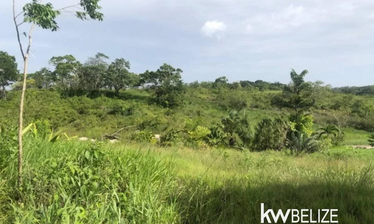 kellerwilliamsbelize-ll132508si-10