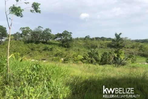 kellerwilliamsbelize-ll132508si-10