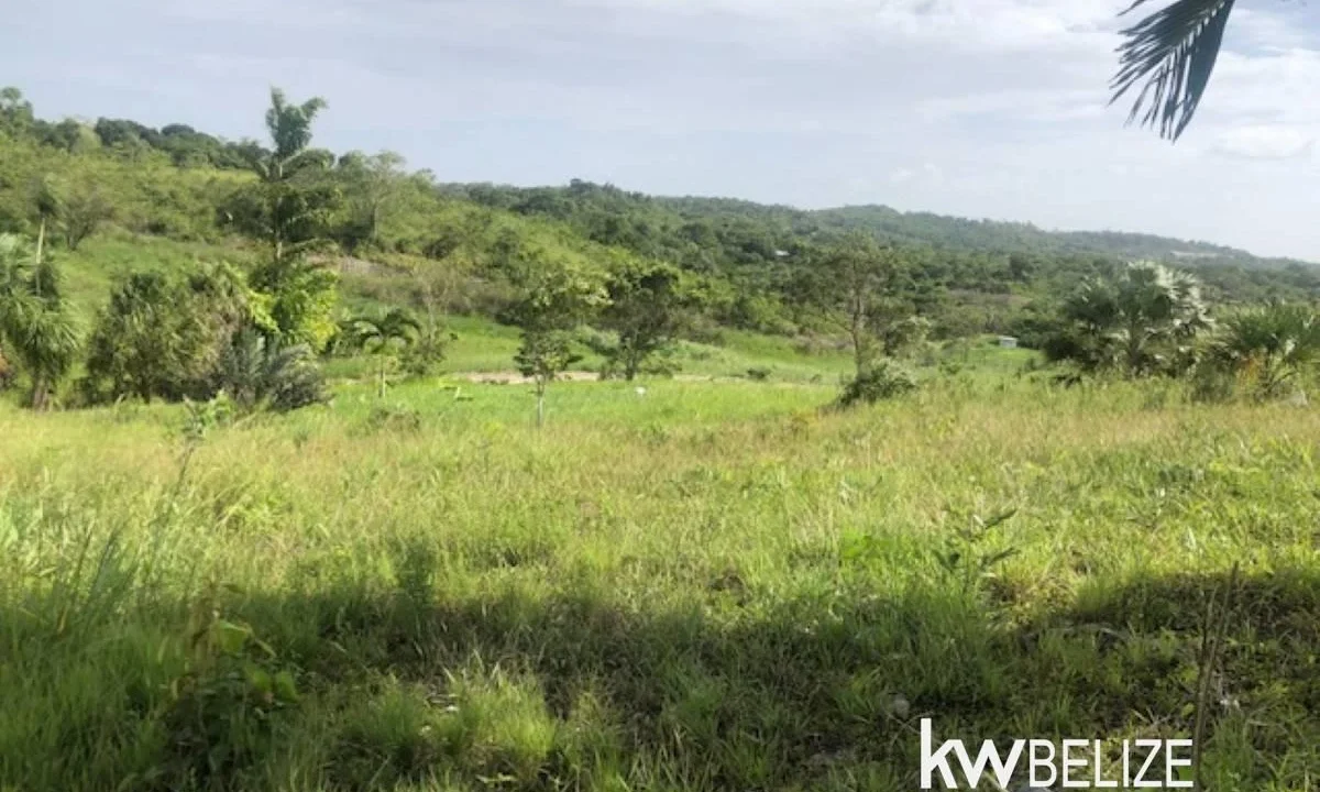 kellerwilliamsbelize-ll132508si-11
