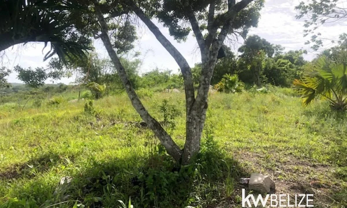 kellerwilliamsbelize-ll132508si-12
