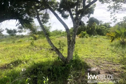 kellerwilliamsbelize-ll132508si-12