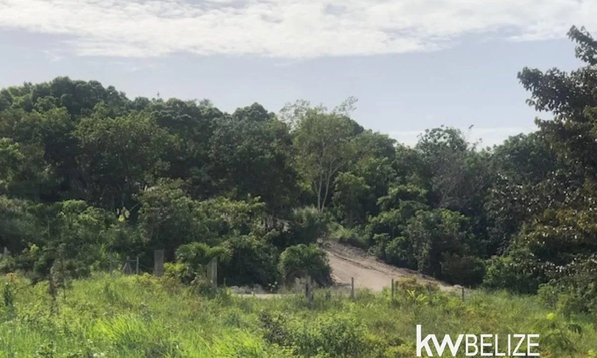kellerwilliamsbelize-ll132508si-13