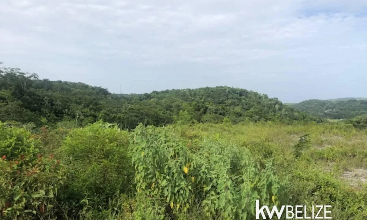 kellerwilliamsbelize-ll132508si-14