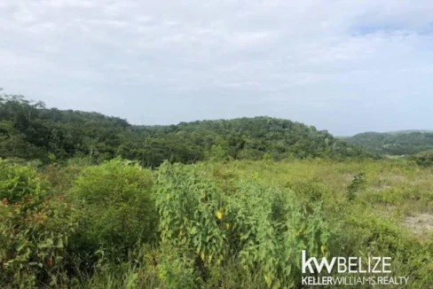 kellerwilliamsbelize-ll132508si-14