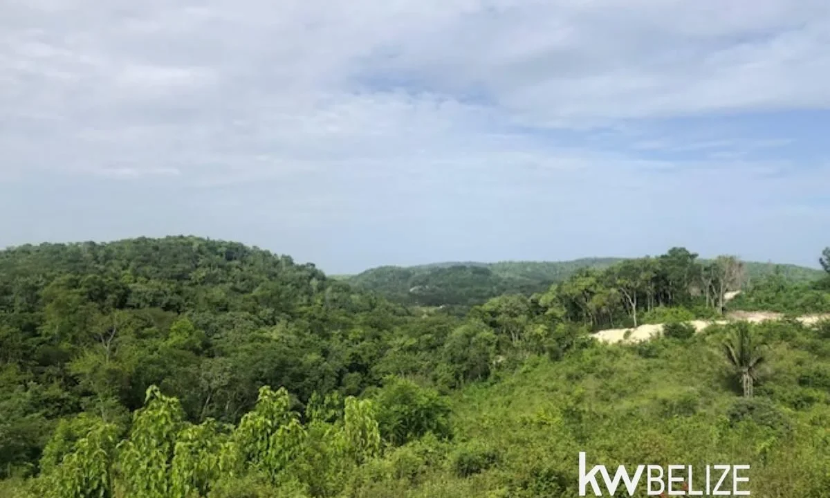 kellerwilliamsbelize-ll132508si-16