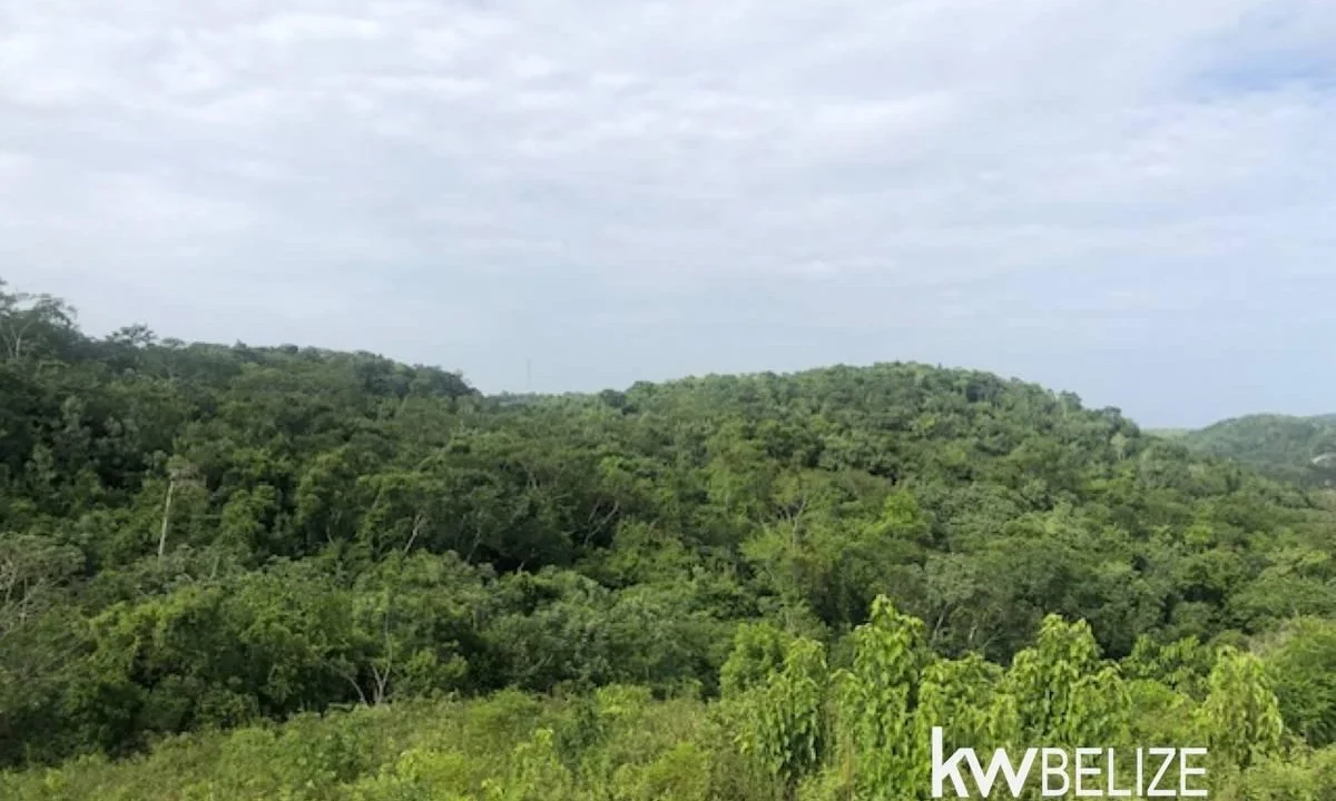 kellerwilliamsbelize-ll132508si-17
