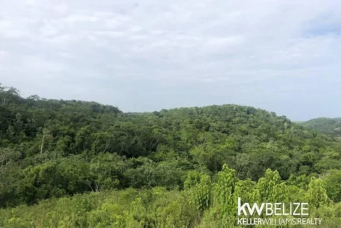 kellerwilliamsbelize-ll132508si-17