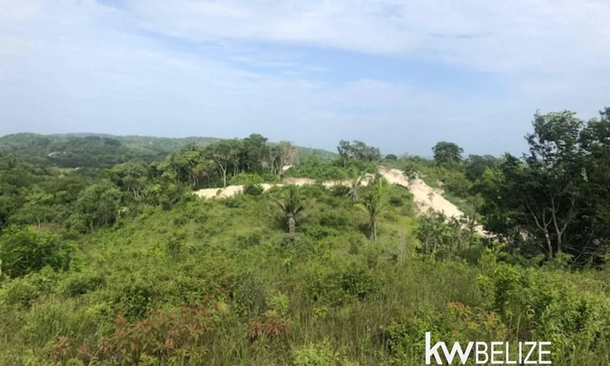 kellerwilliamsbelize-ll132508si-18