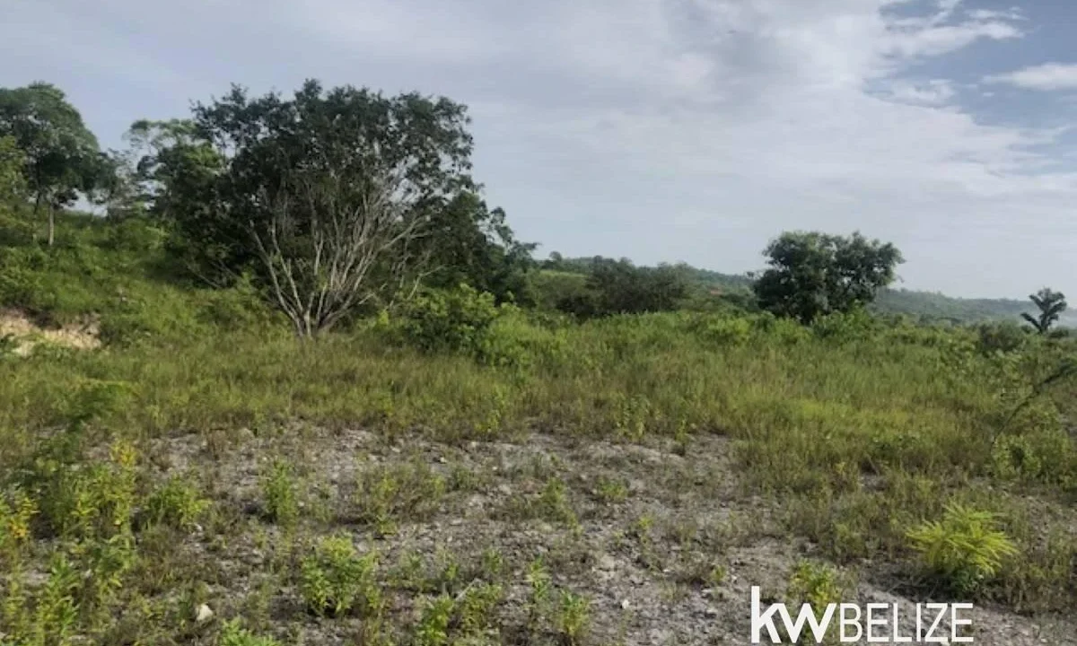 kellerwilliamsbelize-ll132508si-19