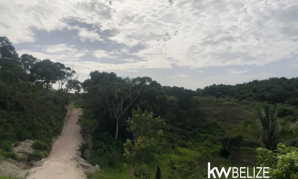 kellerwilliamsbelize-ll132508si-20