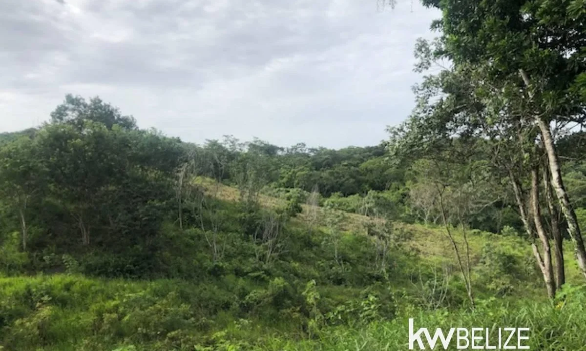kellerwilliamsbelize-ll132508si-21