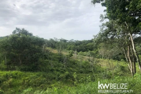 kellerwilliamsbelize-ll132508si-21