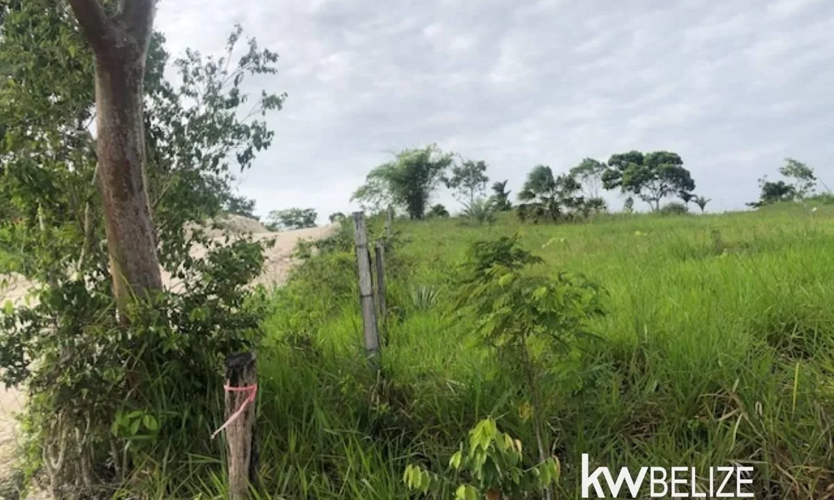 kellerwilliamsbelize-ll132508si-22