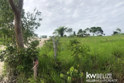 kellerwilliamsbelize-ll132508si-22