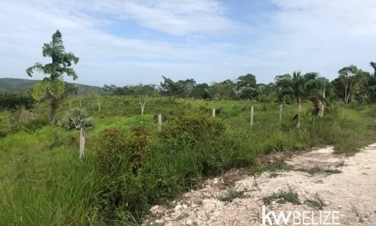 kellerwilliamsbelize-ll132508si-23