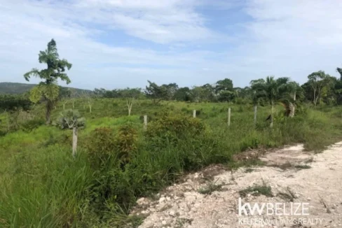 kellerwilliamsbelize-ll132508si-23